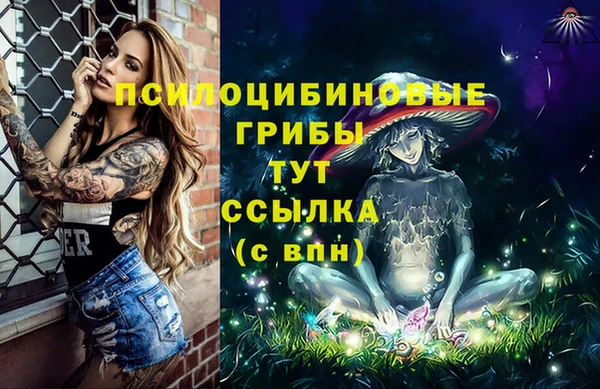 гашик Алзамай