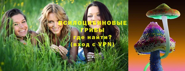 гашик Алзамай